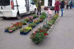 ELVA-LINNA-PAEV-85-