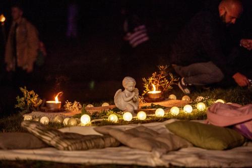 MEELTE VIDEVIK RAGNAR VUTT 40